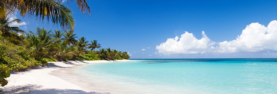 En paradisliknande strand med finkornig sand, kristallklart vatten och lummiga palmer mot en klarblå himmel.