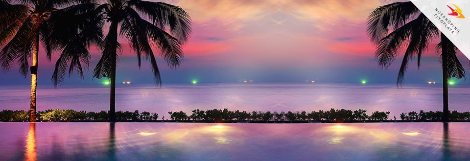 Tropisk strand vid solnedgången med palmer och färgrik himmel speglad i vattnet.